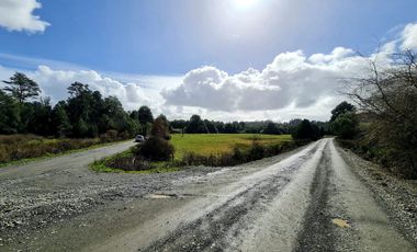PARCELA EN LOS MUERMOS LA PALOMA