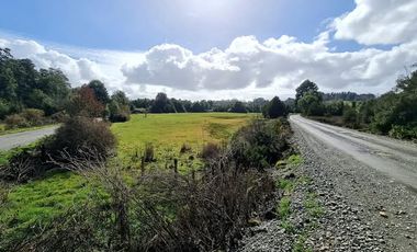 PARCELA EN LOS MUERMOS LA PALOMA