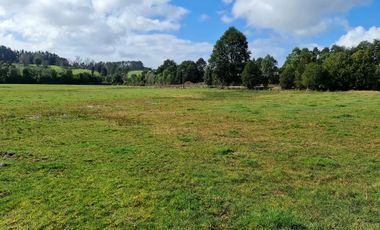 PARCELA EN LOS MUERMOS LA PALOMA