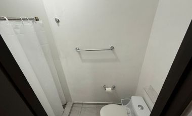 Renta Departamento Amueblado Torres Monarca
