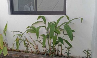 Casa Uso de Suelo Comercial en Venta en Colima Céntrica Ideal Oficinas /Negocios