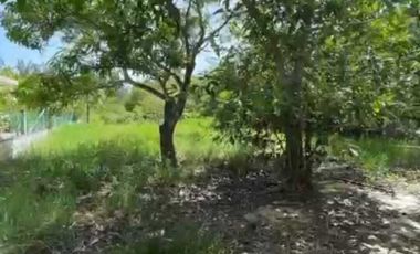 TERRENO EN VENTA A PIE DE LAGUNA, A 5 MIN DE LAS PLAYAS DE TUXPAN VER.