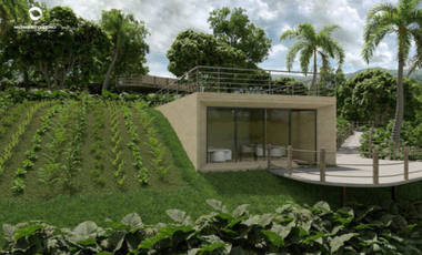 VENTA DE LOTE DE UNA HECTAREA EN CONDOMINIO VIA PEREIRA ALCALA