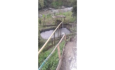 Venta de casa de un nivel  entre Santa Rosa y Chinchina