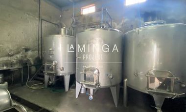 Agrícola en Venta en Sector Cholqui