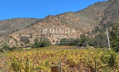 Agrícola en Venta en Sector Cholqui