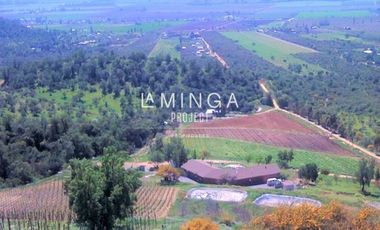 Agrícola en Venta en Sector Cholqui