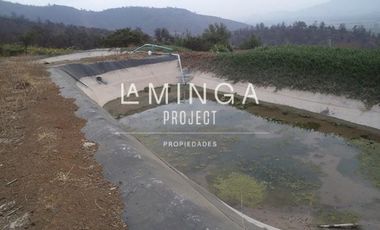 Agrícola en Venta en Sector Cholqui