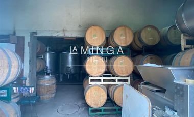 Agrícola en Venta en Sector Cholqui