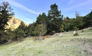 Campo de 200 hectáreas en Carén, Curarrehue – Con acceso directo a Ruta S-199