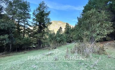 Campo de 200 hectáreas en Carén, Curarrehue – Con acceso directo a Ruta S-199