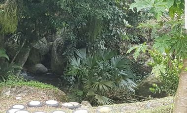 Finca en Venta  Santander, BARBOSA