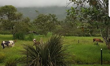 Finca en Venta  Santander, BARBOSA