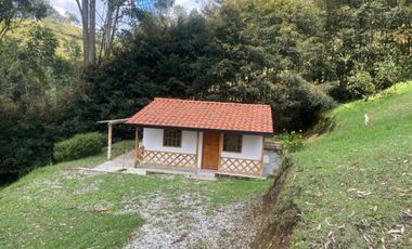 Finca en Arriendo  Antioquia, RIONEGRO