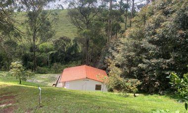 Finca en Arriendo  Antioquia, RIONEGRO