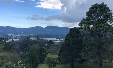 Finca en Arriendo  Antioquia, LA CEJA