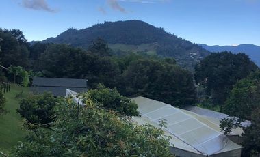 Finca en Arriendo  Antioquia, LA CEJA