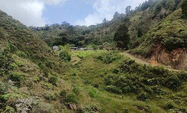 Finca en Venta  Antioquia, SANTUARIO