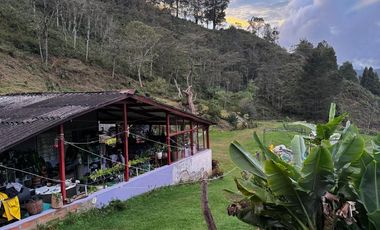 Finca en Venta  Antioquia, SANTUARIO