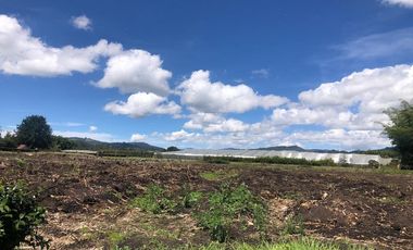 Lote en Arriendo  Antioquia, RIONEGRO