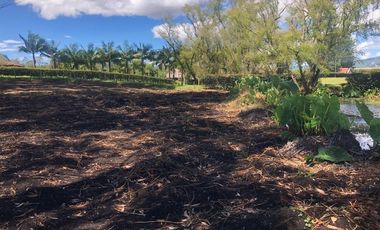 Lote en Arriendo  Antioquia, RIONEGRO