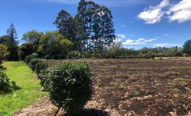 Lote en Arriendo  Antioquia, RIONEGRO