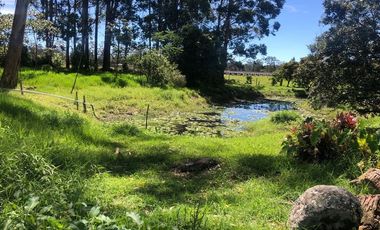 Lote en Arriendo  Antioquia, RIONEGRO