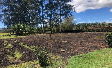 Lote en Arriendo  Antioquia, RIONEGRO