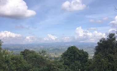 Finca en Arriendo  Antioquia, RIONEGRO