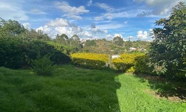 Finca en Arriendo  Antioquia, RIONEGRO