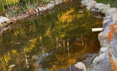 Finca en Arriendo  Antioquia, GUARNE