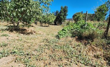 Parcela en Venta en Huallarrehue, Comuna Santa Juana, Region del Bio Bio