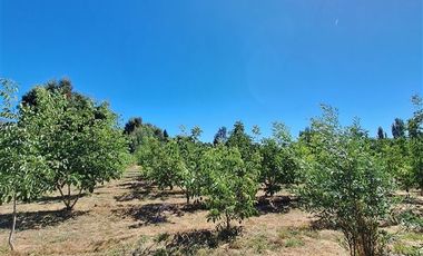 Parcela en Venta en Huallarrehue, Comuna Santa Juana, Region del Bio Bio