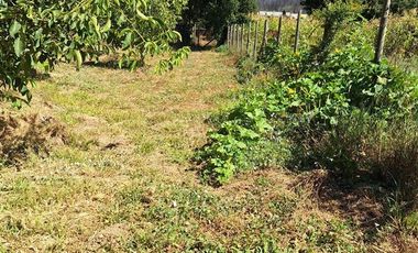 Parcela en Venta en Huallarrehue, Comuna Santa Juana, Region del Bio Bio