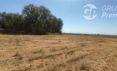Agrícola en Venta en PARCELA SECTOR SAN RAFAEL
