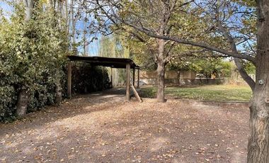 Casa en  Alquiler - Hermosa propiedad con añosos árboles y amplio jardín