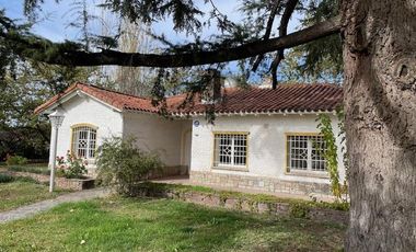 Casa en  Alquiler - Hermosa propiedad con añosos árboles y amplio jardín