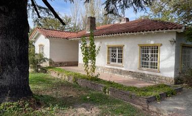 Casa en  Alquiler - Hermosa propiedad con añosos árboles y amplio jardín