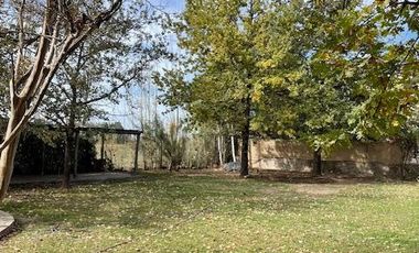 Casa en  Alquiler - Hermosa propiedad con añosos árboles y amplio jardín