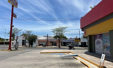 Terreno Comercial en Renta Col Prado