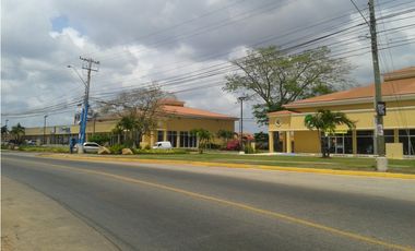 ALQUILO LOCAL EN C.C. VISTAMAR - CHORRERA