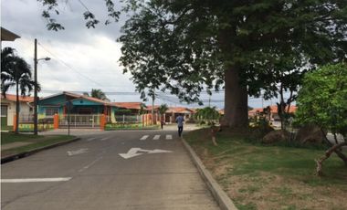 ALQUILO LOCAL EN C.C. VISTAMAR - CHORRERA