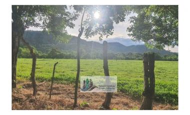 VENTA DE FINCA EN SAN PABLO VIEJO 3 HECTAREAS + 8,723 METROS