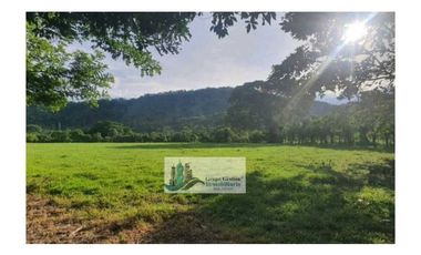 VENTA DE FINCA EN SAN PABLO VIEJO 3 HECTAREAS + 8,723 METROS