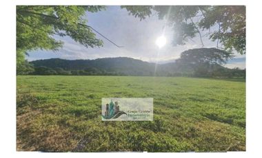 VENTA DE FINCA EN SAN PABLO VIEJO 3 HECTAREAS + 8,723 METROS