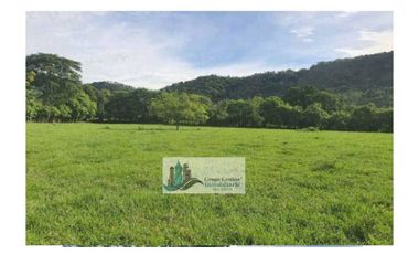 VENTA DE FINCA EN SAN PABLO VIEJO 3 HECTAREAS + 8,723 METROS