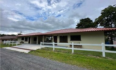 ALQUILO APARTAMENTOS ALTO.BOQUETE