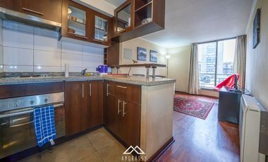 Departamento en Arriendo en Bella Artes