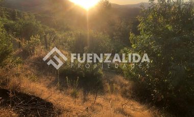 Parcela en Venta en Ruta de la madera sector San José