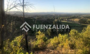 Parcela en Venta en Ruta de la madera sector San José